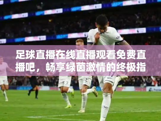 足球直播在线直播观看免费直播吧，畅享绿茵激情的终极指南
