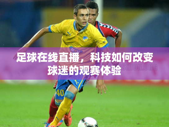 足球在线直播，科技如何改变球迷的观赛体验