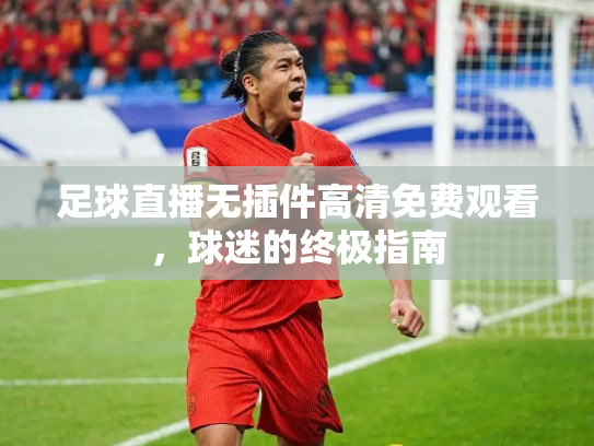 足球直播无插件高清免费观看，球迷的终极指南