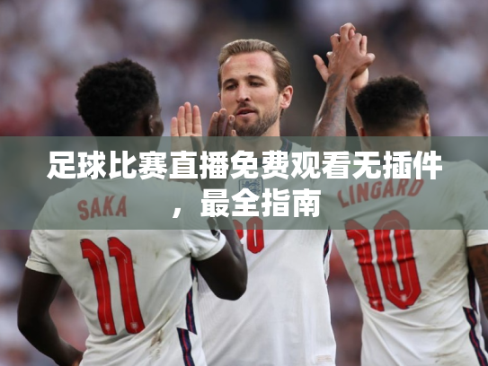 足球比赛直播免费观看无插件，最全指南