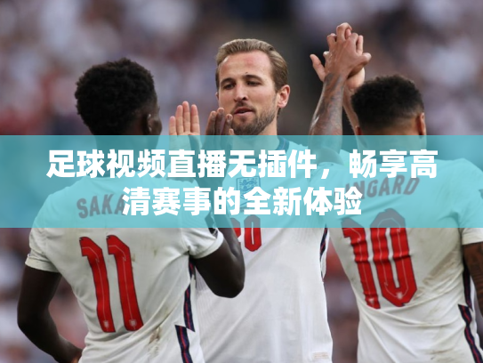 足球视频直播无插件，畅享高清赛事的全新体验