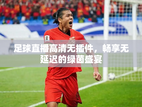 足球直播高清无插件，畅享无延迟的绿茵盛宴