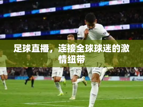足球直播，连接全球球迷的激情纽带