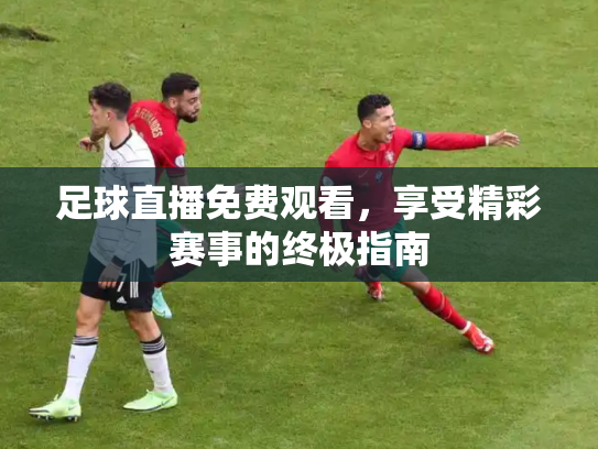 足球直播免费观看，享受精彩赛事的终极指南