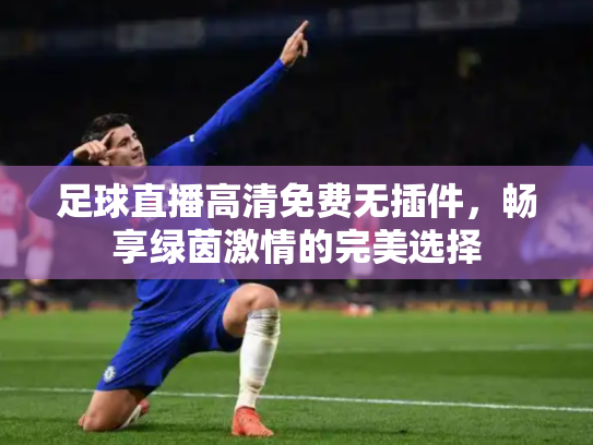足球直播高清免费无插件，畅享绿茵激情的完美选择