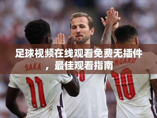 足球视频在线观看免费无插件，最佳观看指南
