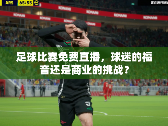 足球比赛免费直播，球迷的福音还是商业的挑战？