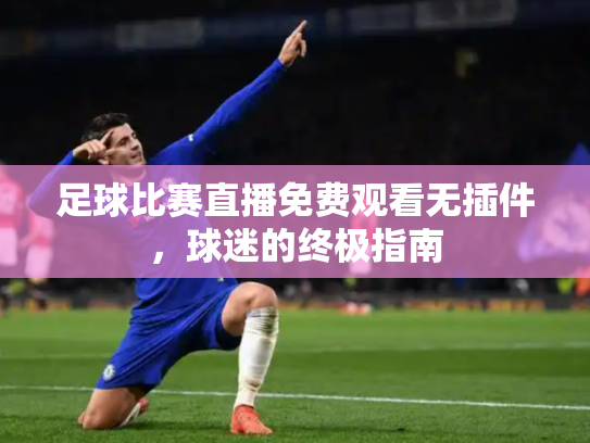 足球比赛直播免费观看无插件，球迷的终极指南
