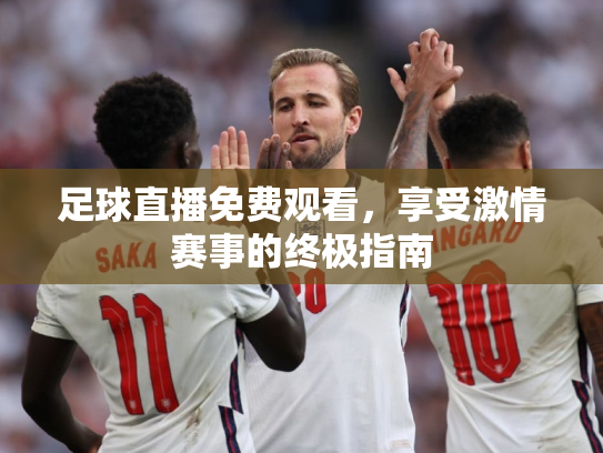 足球直播免费观看，享受激情赛事的终极指南