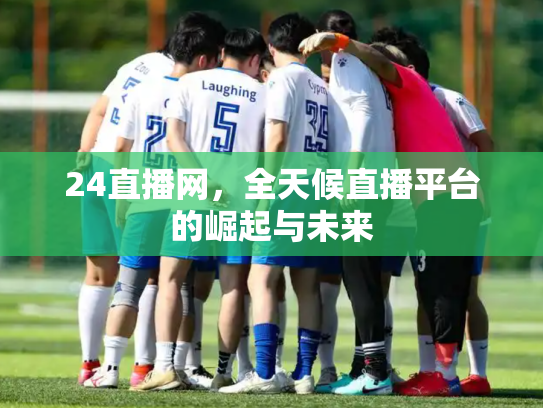 24直播网，全天候直播平台的崛起与未来