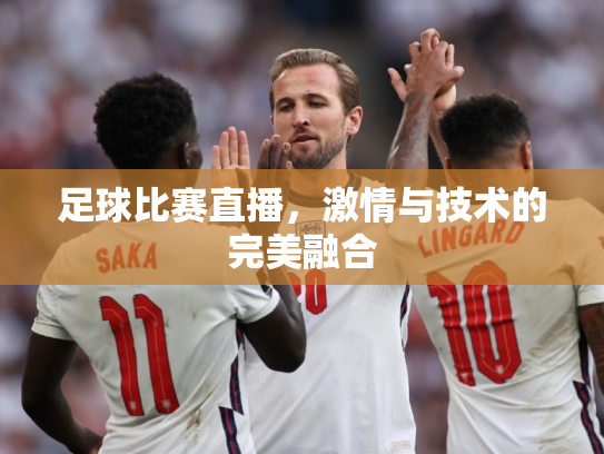 足球比赛直播，激情与技术的完美融合