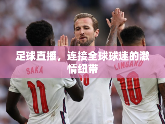 足球直播，连接全球球迷的激情纽带