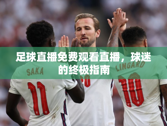 足球直播免费观看直播，球迷的终极指南