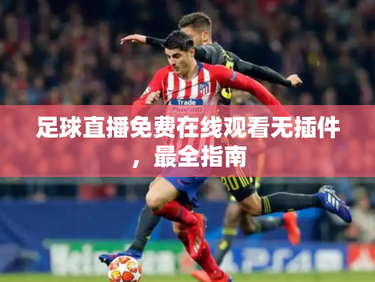 足球直播免费在线观看无插件，最全指南