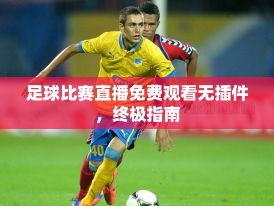 足球比赛直播免费观看无插件，终极指南
