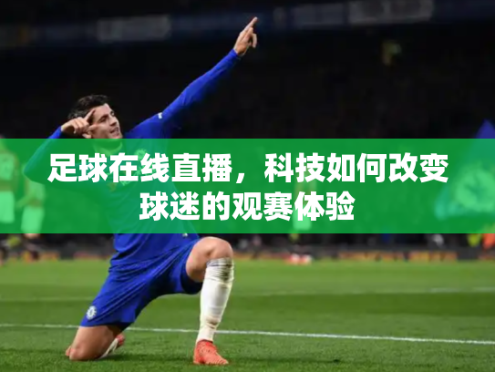 足球在线直播，科技如何改变球迷的观赛体验