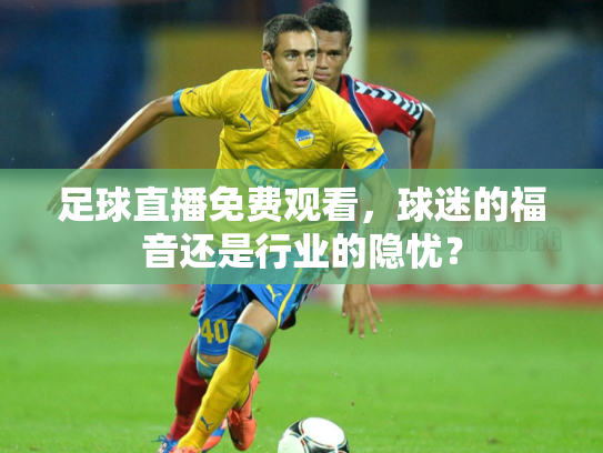 足球直播免费观看，球迷的福音还是行业的隐忧？