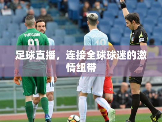 足球直播，连接全球球迷的激情纽带