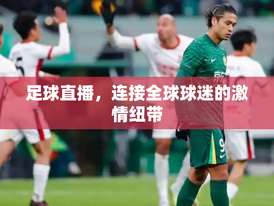 足球直播，连接全球球迷的激情纽带