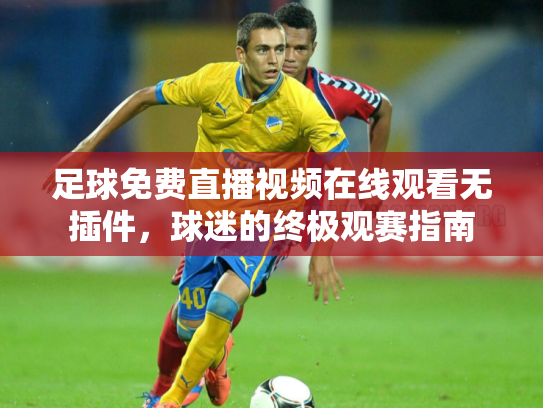 足球免费直播视频在线观看无插件，球迷的终极观赛指南