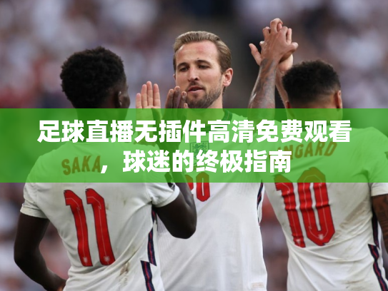 足球直播无插件高清免费观看，球迷的终极指南