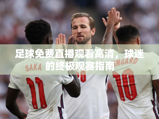足球免费直播观看高清，球迷的终极观赛指南