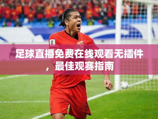 足球直播免费在线观看无插件，最佳观赛指南