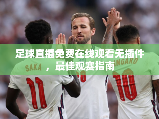 足球直播免费在线观看无插件，最佳观赛指南