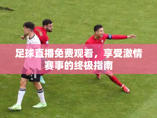 足球直播免费观看，享受激情赛事的终极指南