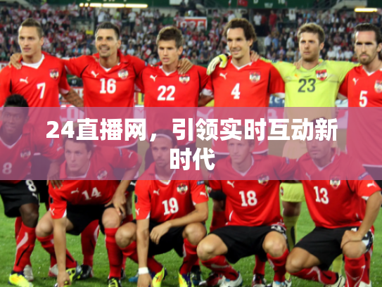 24直播网，引领实时互动新时代
