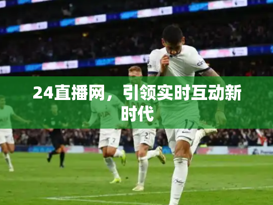 24直播网，引领实时互动新时代