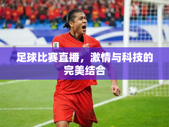 足球比赛直播，激情与科技的完美结合