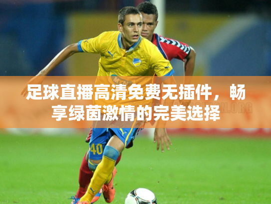 足球直播高清免费无插件，畅享绿茵激情的完美选择