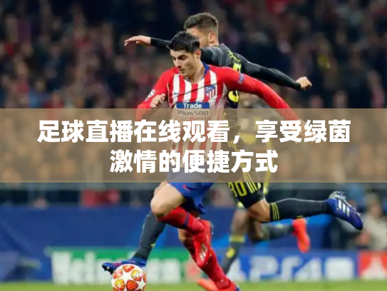 足球直播在线观看，享受绿茵激情的便捷方式