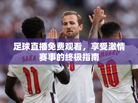 足球直播免费观看，享受激情赛事的终极指南