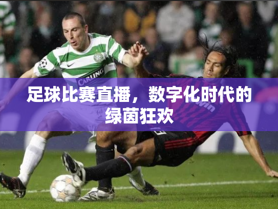 足球比赛直播，数字化时代的绿茵狂欢