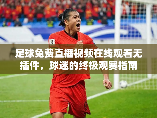 足球免费直播视频在线观看无插件，球迷的终极观赛指南