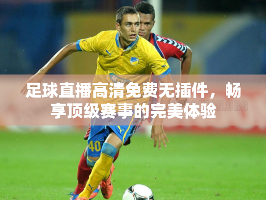 足球直播高清免费无插件，畅享顶级赛事的完美体验