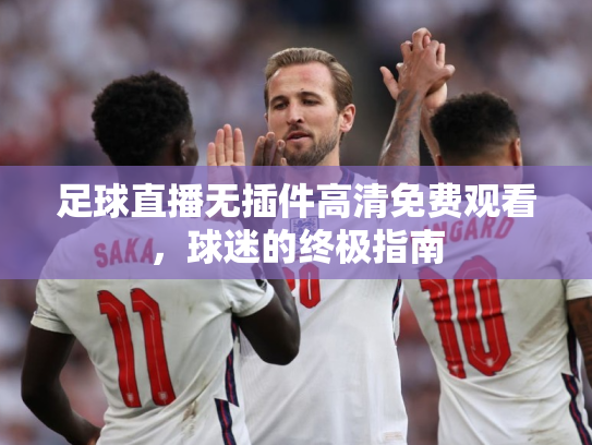 足球直播无插件高清免费观看，球迷的终极指南