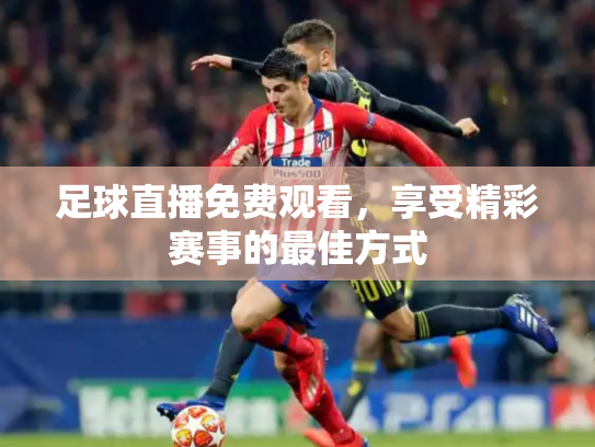 足球直播免费观看，享受精彩赛事的最佳方式