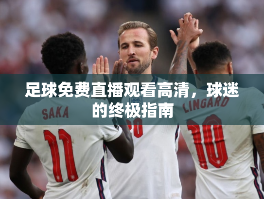 足球免费直播观看高清，球迷的终极指南