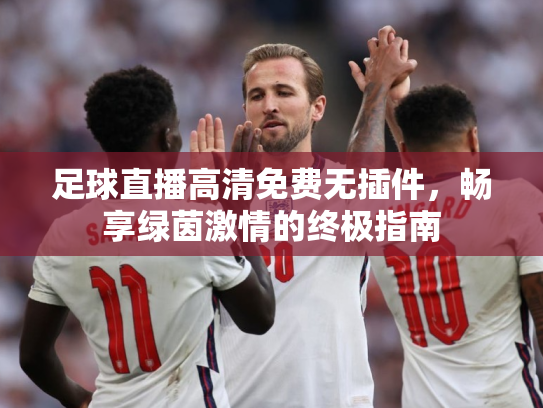 足球直播高清免费无插件，畅享绿茵激情的终极指南