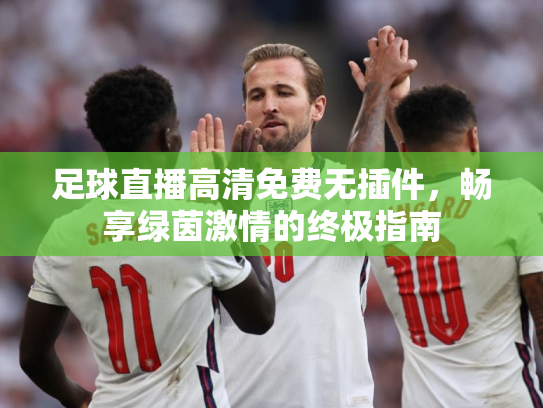 足球直播高清免费无插件，畅享绿茵激情的终极指南