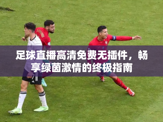 足球直播高清免费无插件，畅享绿茵激情的终极指南
