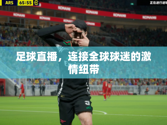 足球直播，连接全球球迷的激情纽带