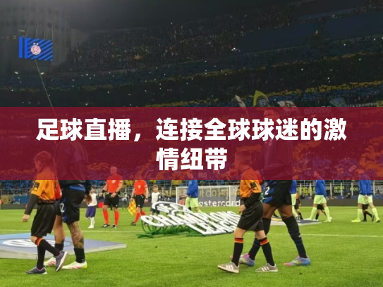 足球直播，连接全球球迷的激情纽带
