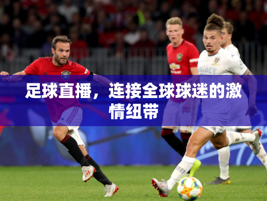 足球直播，连接全球球迷的激情纽带