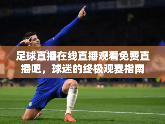 足球直播在线直播观看免费直播吧，球迷的终极观赛指南