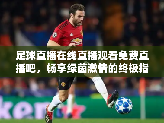 足球直播在线直播观看免费直播吧，畅享绿茵激情的终极指南