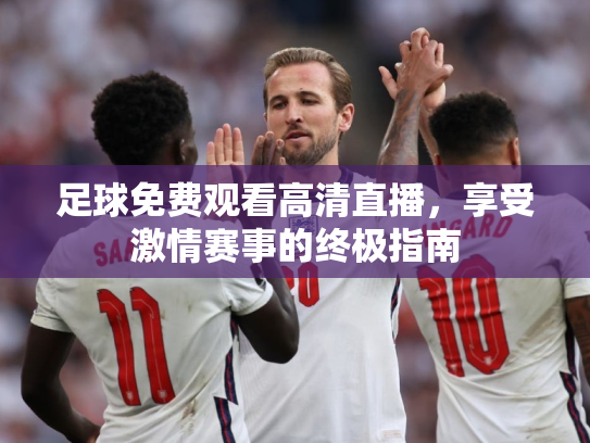足球免费观看高清直播，享受激情赛事的终极指南